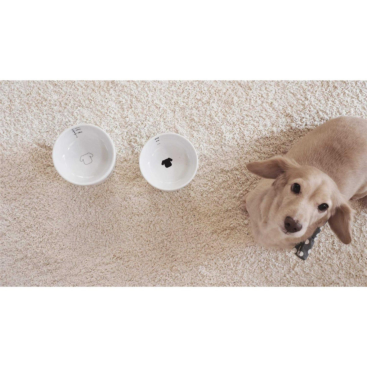 Raised Dog Food Bowl O47750