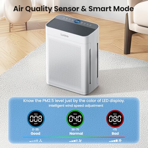 HEPA Double-Sided Air Purifier with Washable Filter Y6022