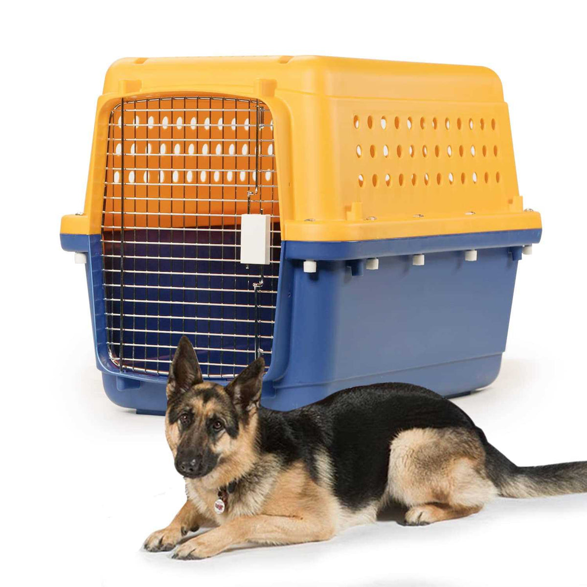 Heavy Duty Dog Cat Kennel N42026