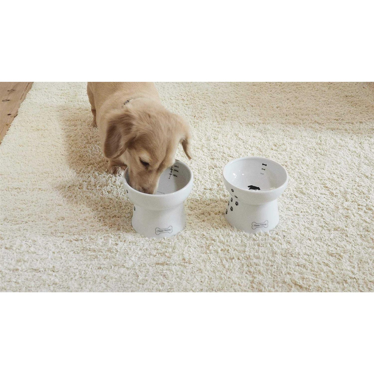 Raised Dog Food Bowl O47750