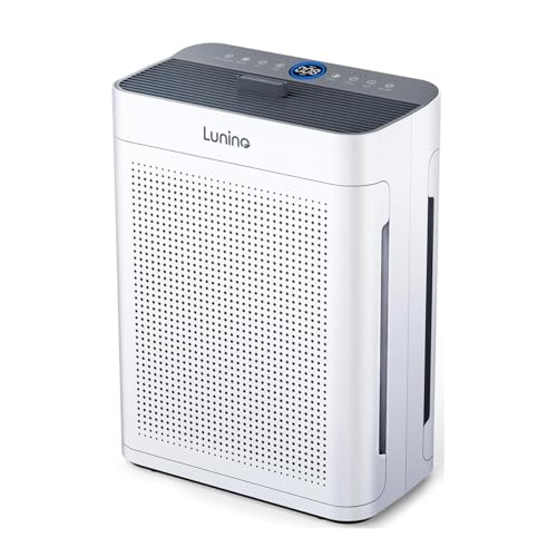 HEPA Double-Sided Air Purifier with Washable Filter Y6022